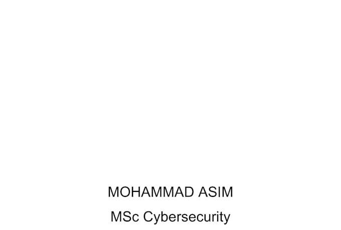 write a professional cybersecurity report or technical documentation